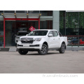 LHD 4 × 4 Dongfeng Rich Pickup Truck Mini camion